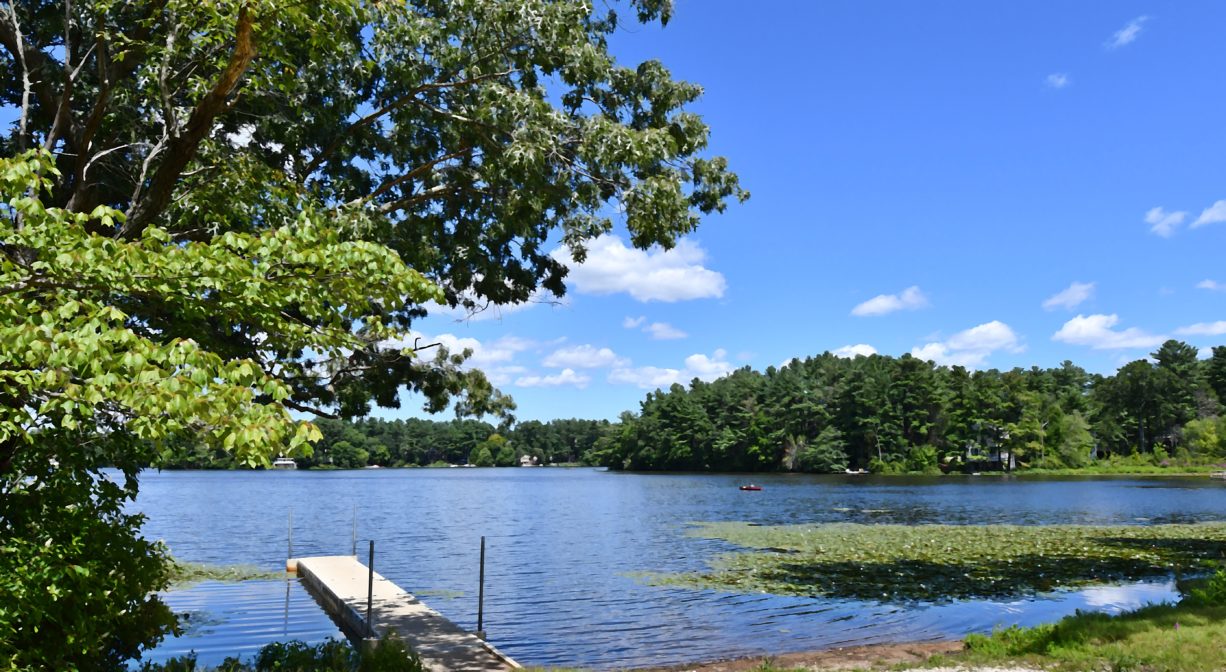 A photograph of a pond with a fishing pier and a small beach, plus trees.