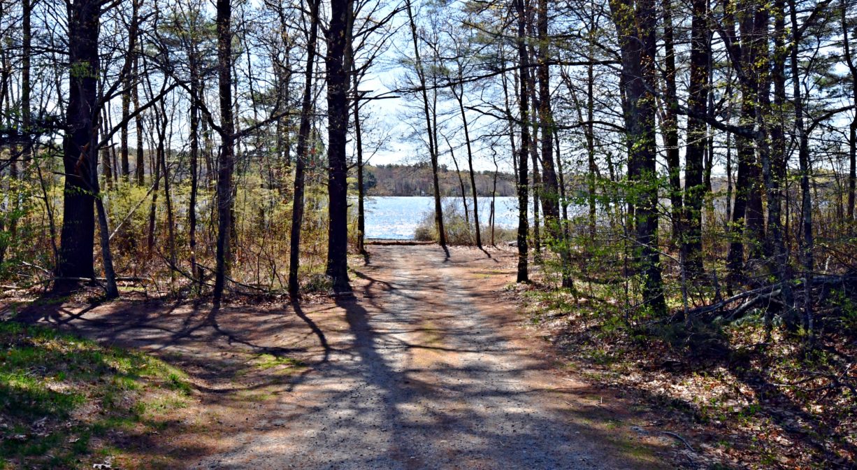 A photograph of an unpaved roadway leading to a pond.
