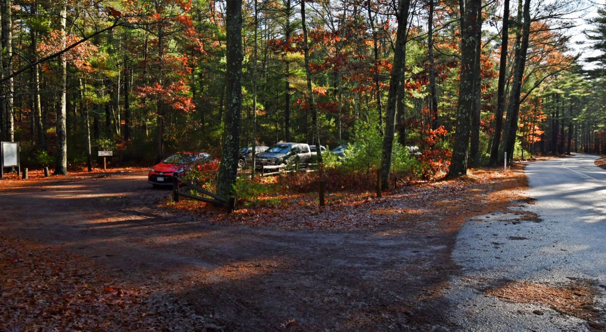 A photograph of a wooded parking area.