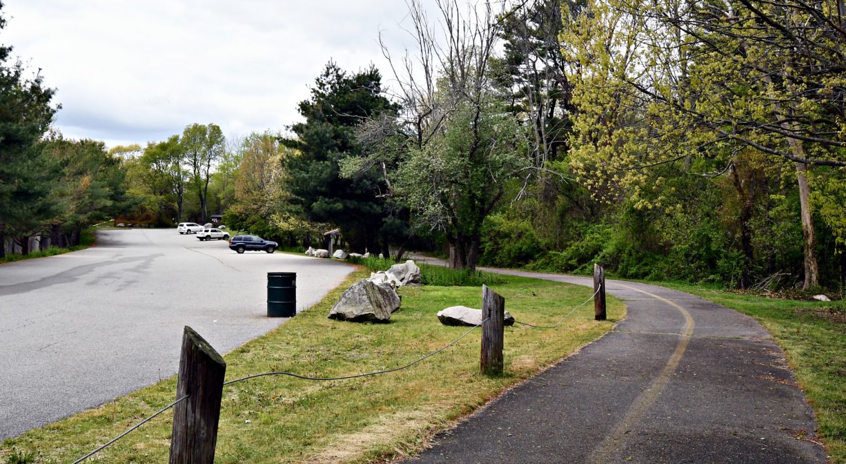 A photograph of a paved trail in a park.