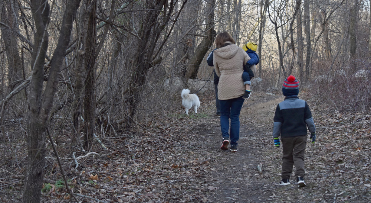 A photograph of a mother, two children, and a dog walking up a woodland trail.