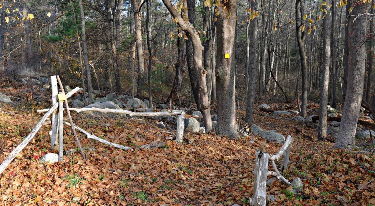 A photograph of a trail with a yellow marker.