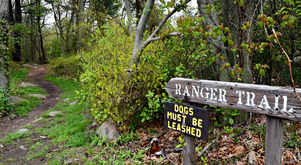 A photograph of a trailhead and trail sign with trees.