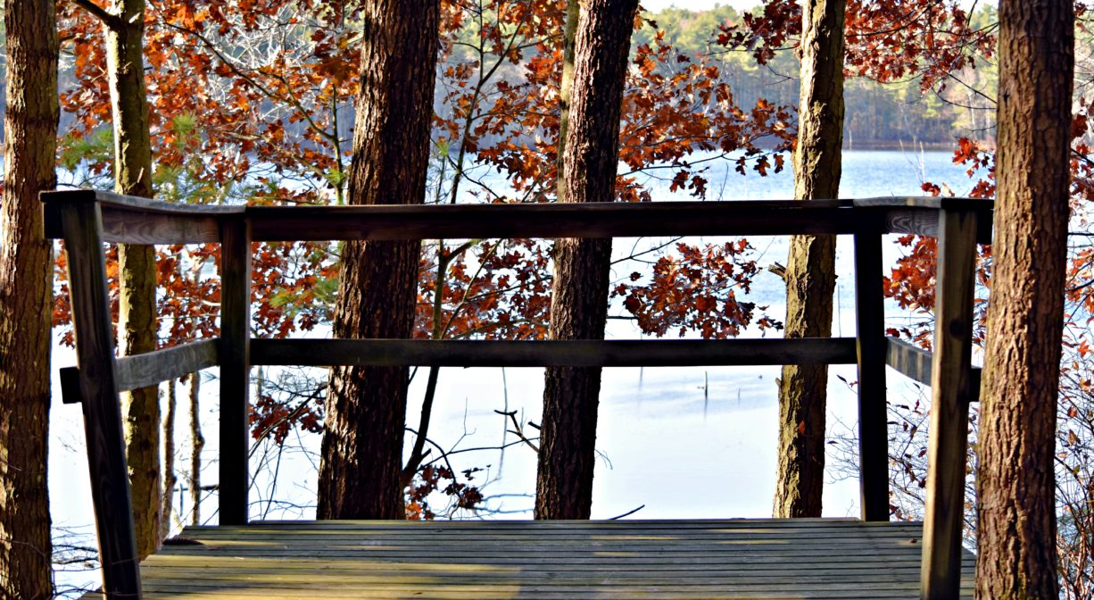 A photograph of an observation platform overlooking a pond.