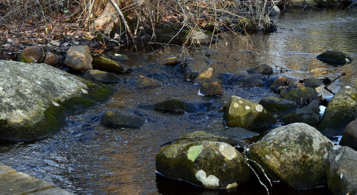 A photograph of a stream with rocks in it.