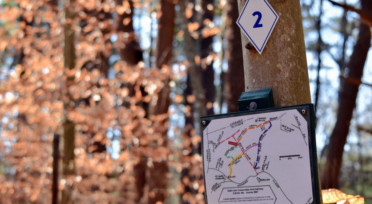 A photograph of a trail map posted on a tree with some fall foliage.