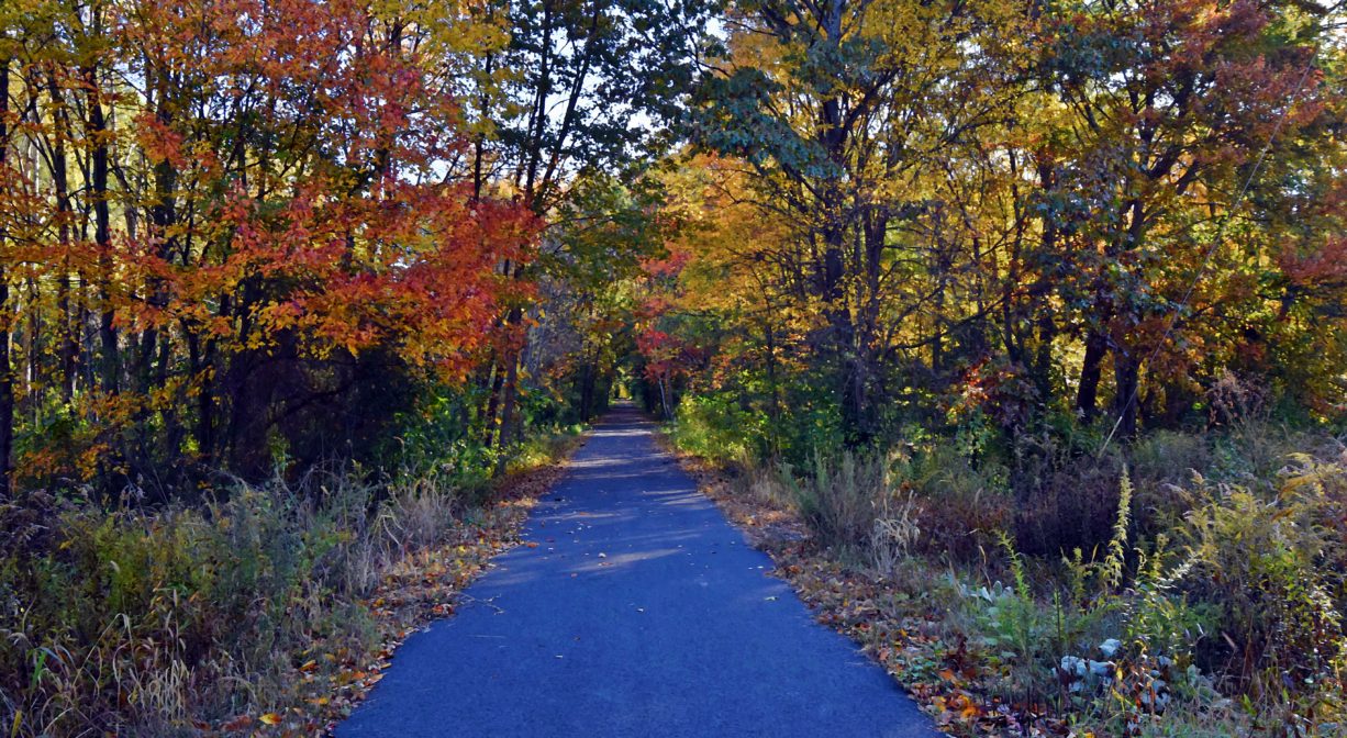 Photograph of paved trail with autumn leaves