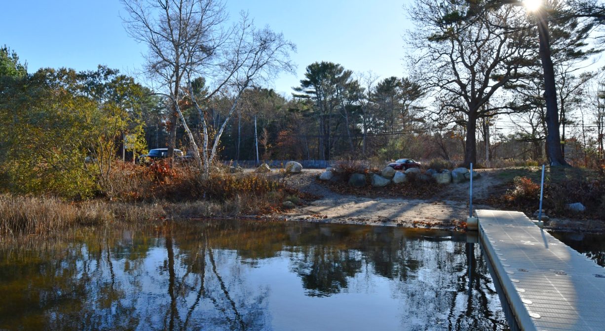 A photograph of a fishing pier and beach on a pond, with scattered trees.