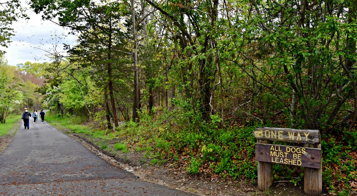 A photograph of a paved trail with people walking in the distance, plus a 