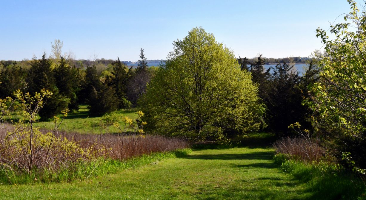 A photograph of a grassy park with trees and a distant water view.