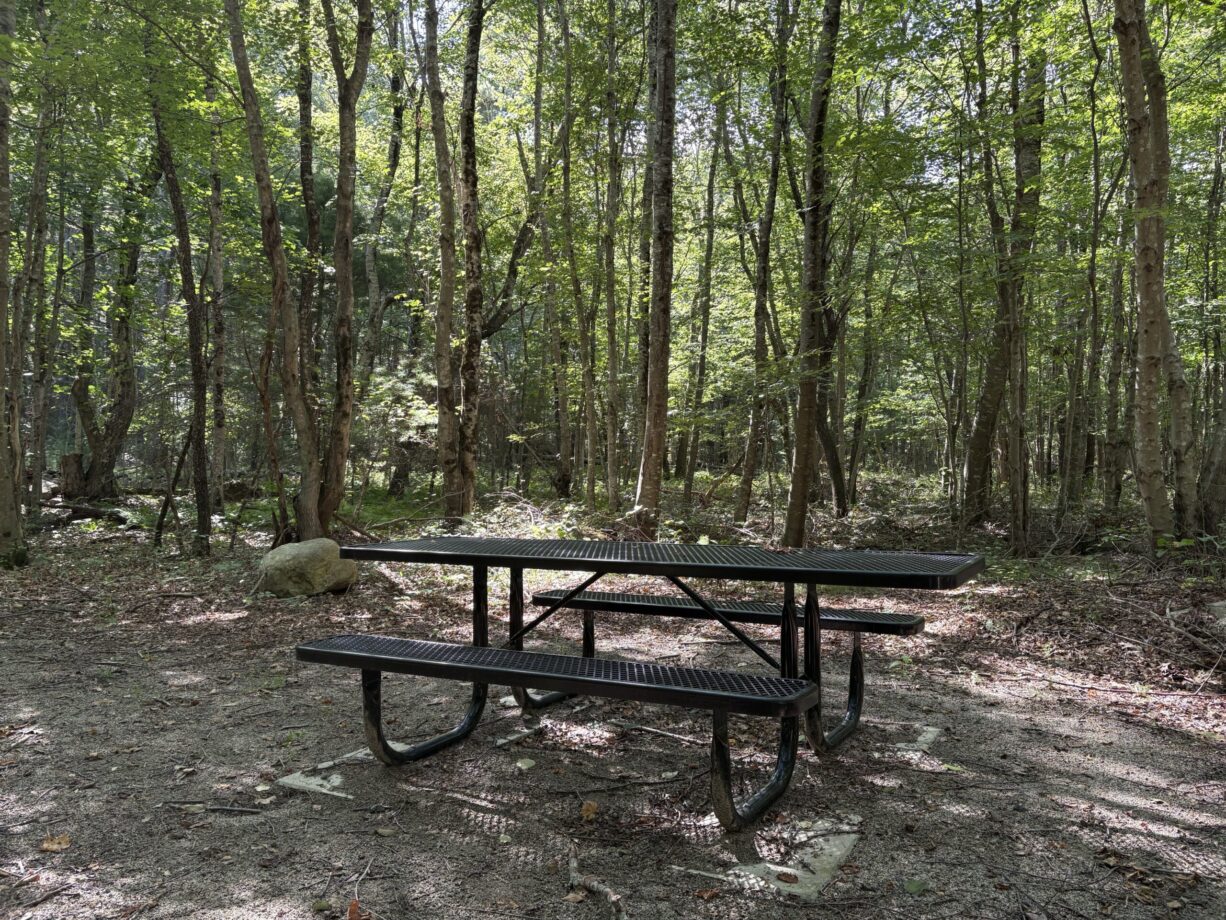 A photograph of a picnic table in a forest.
