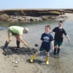 South River Shellfish Beds