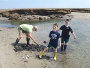 South River Shellfish Beds