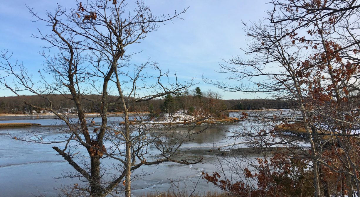 A photograph of a river and salt marsh in winter.