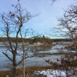 A photograph of a river and salt marsh in winter.