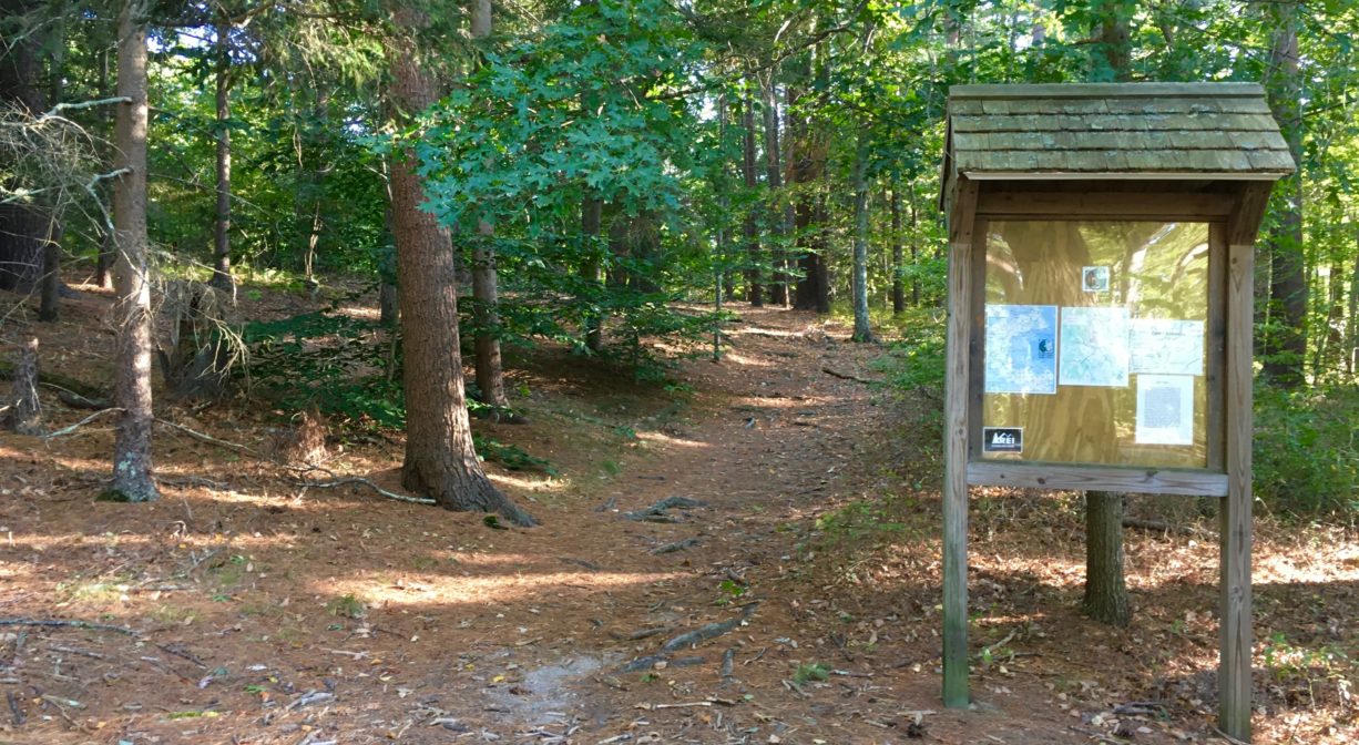 A photograph of an informational kiosk beside a woodland trail.