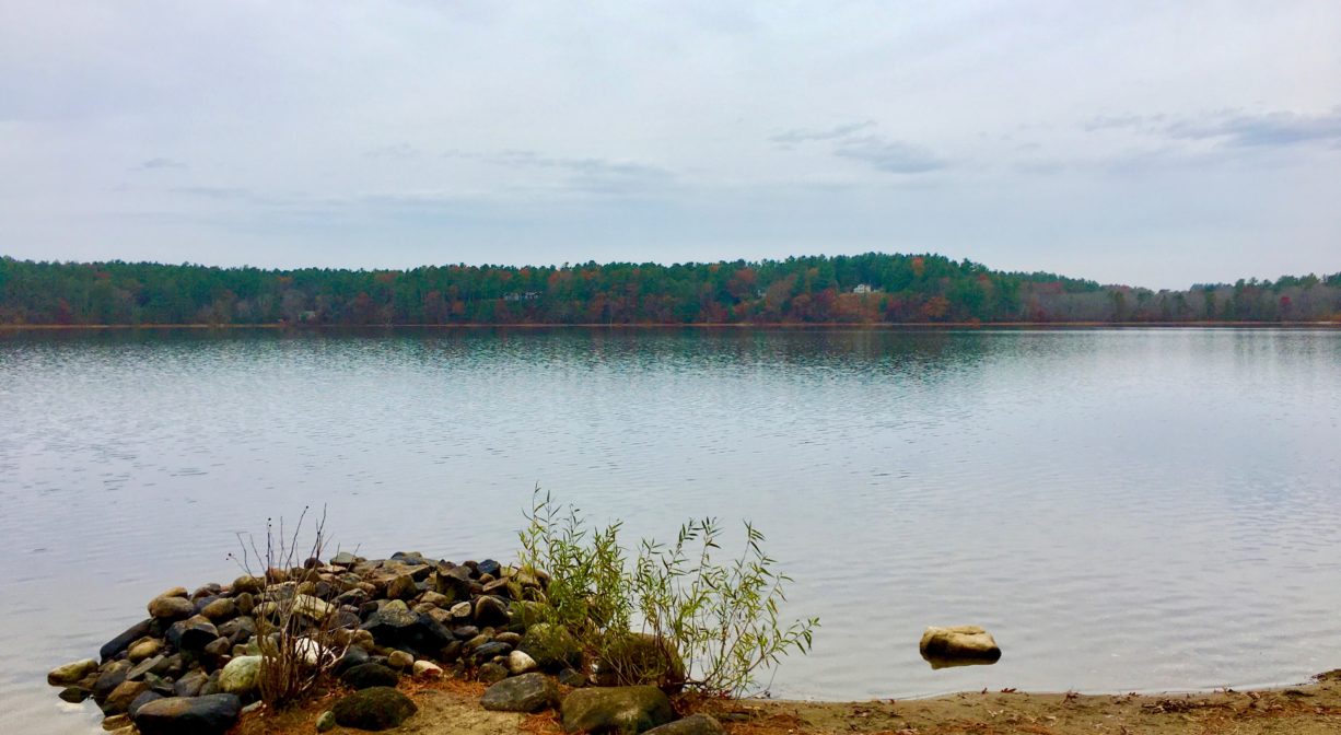A photograph of a lake with a sandy area and some rocks in the foreground