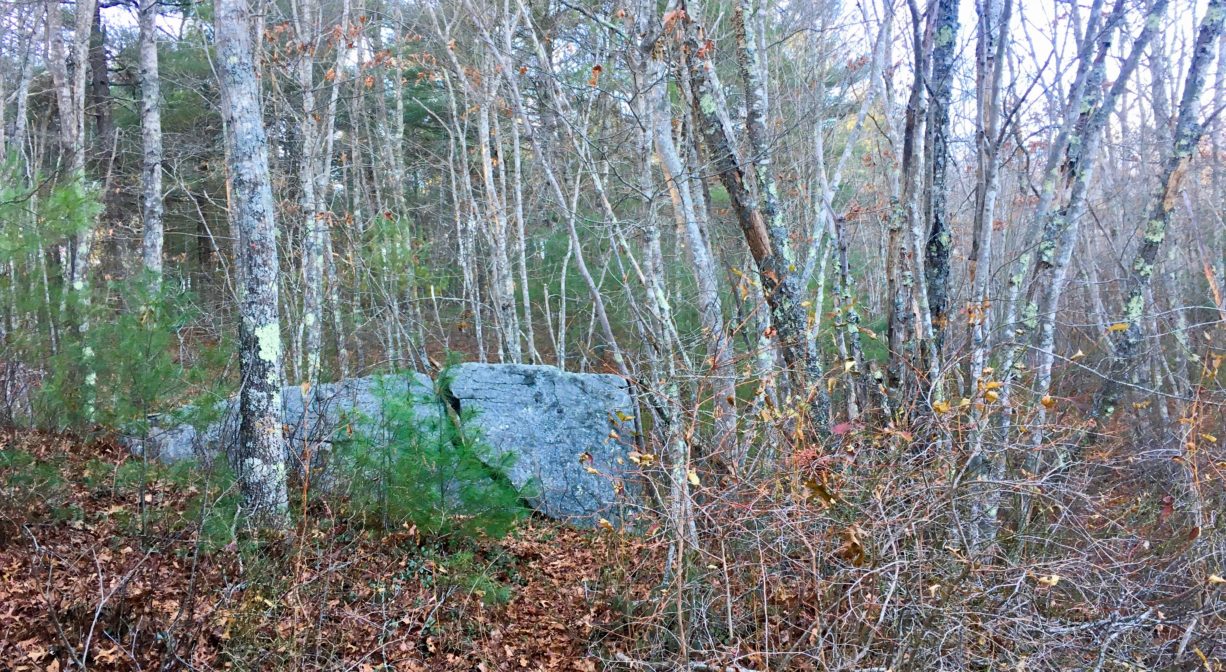A photograph of a boulder in a bare woodland.