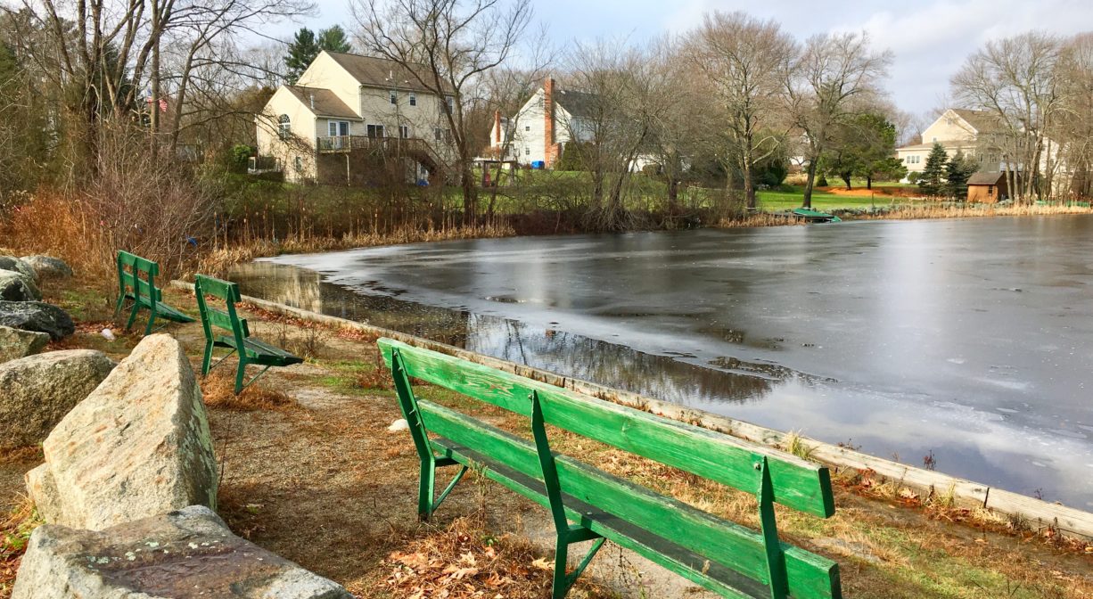 A photograph of two green benches beside a semi-frozen pond.