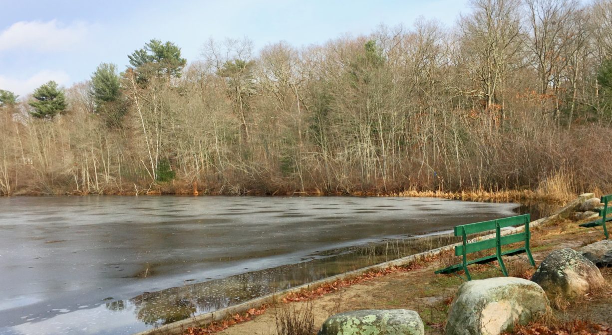 A photograph of a semi-frozen pond with a bench beside it.