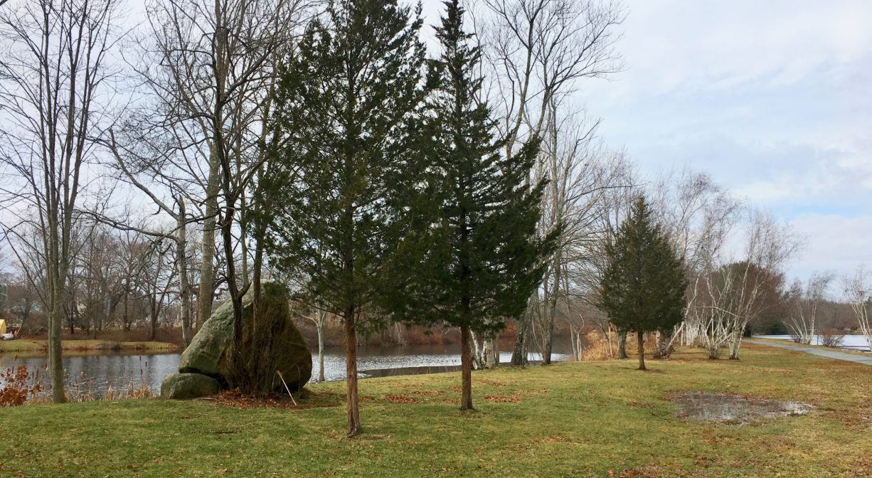 A photograph of grass, trees, and a large boulder beside a pond.