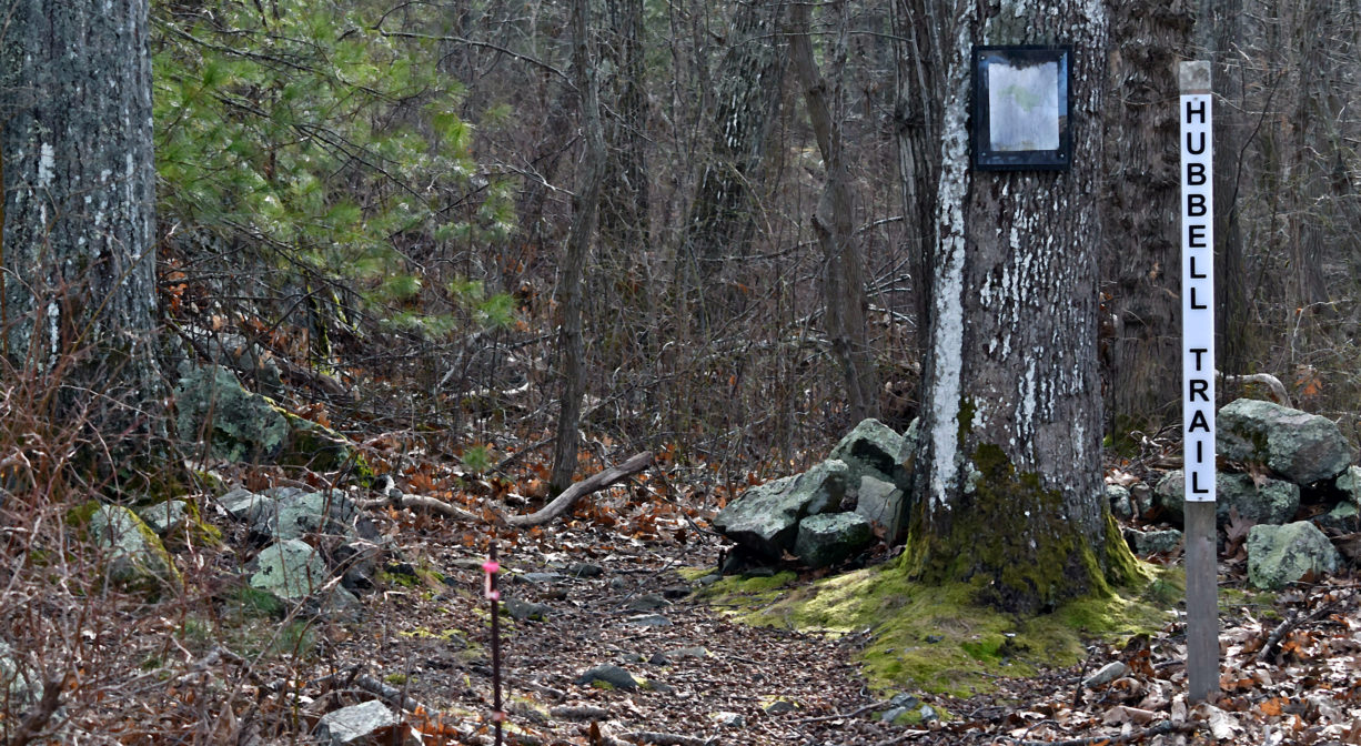 A photograph of a trailhead at the edge of the woods with white signs.