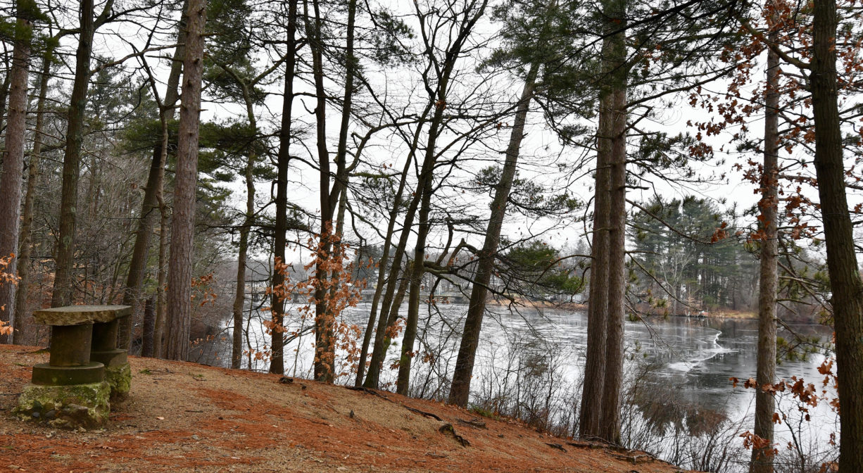 A photograph of a bench beside a pond, in a wooded setting.