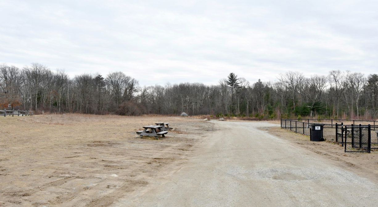 A photograph of an unpaved trail with grass and trees.