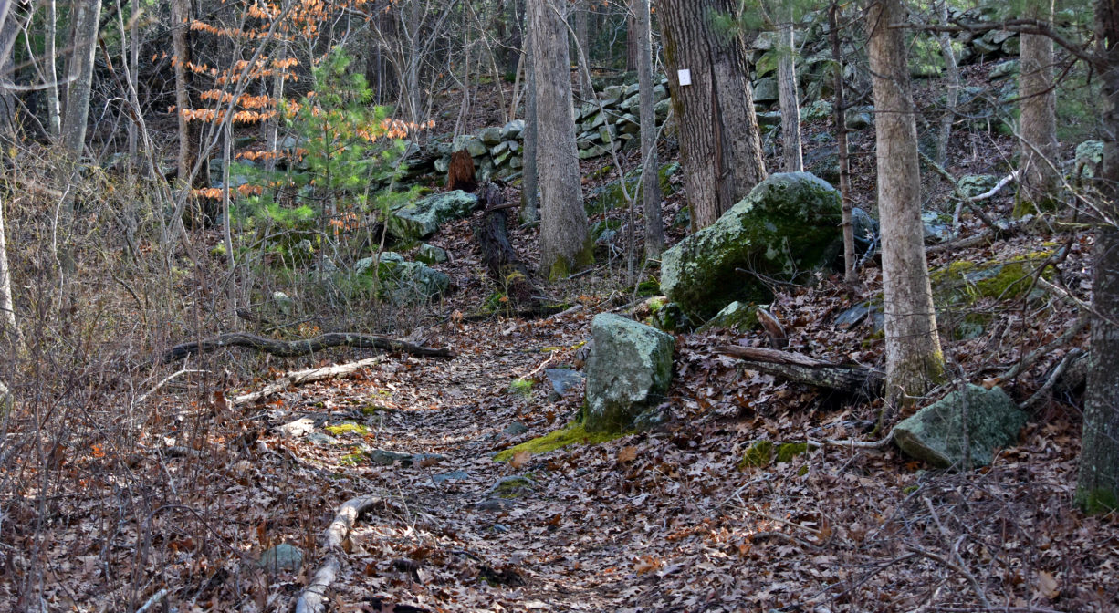 A photograph of a trail that extends through the woods alongside some boulders.