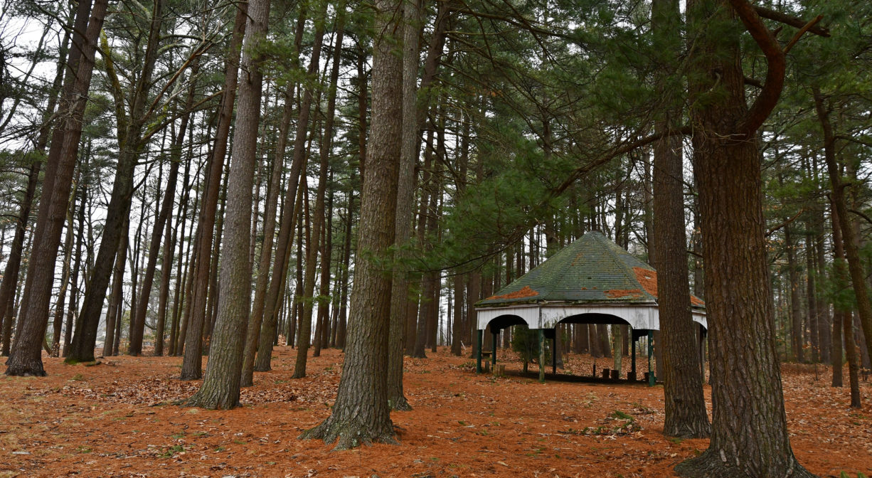 A photograph of a gazebo in a wooded setting.