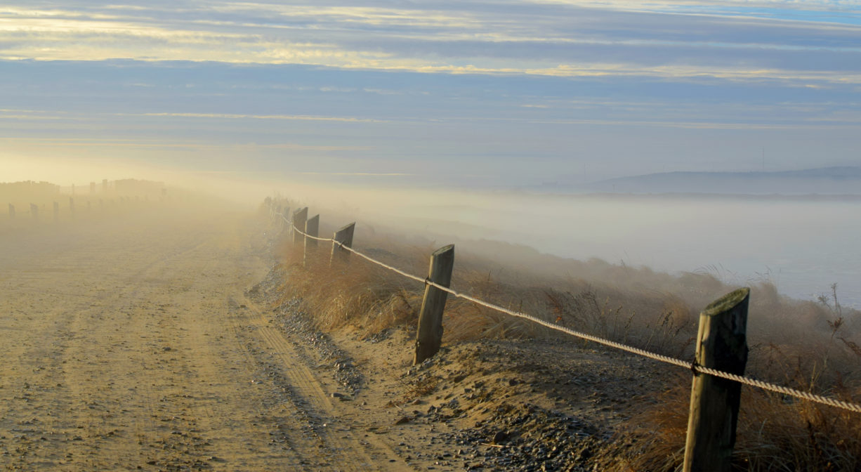 A photograph of a beach entrance path with mist and hazy sunshine.