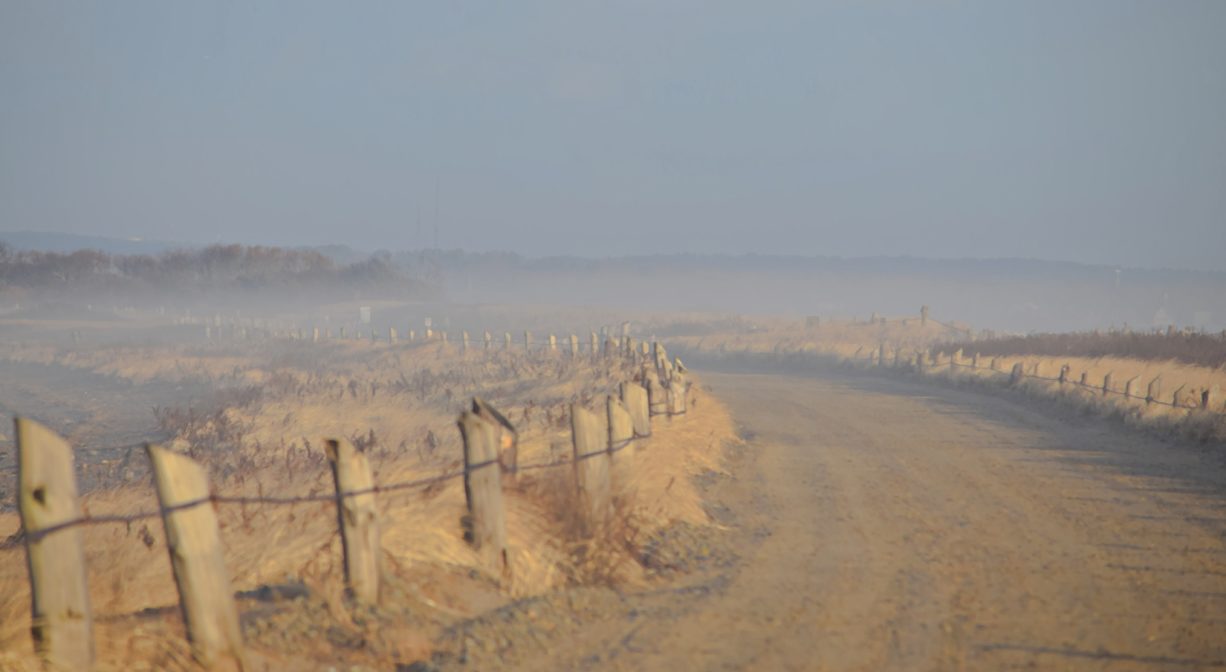 A photograph of a wide dirt road through dunes and beach grass, with hazy sunshine.