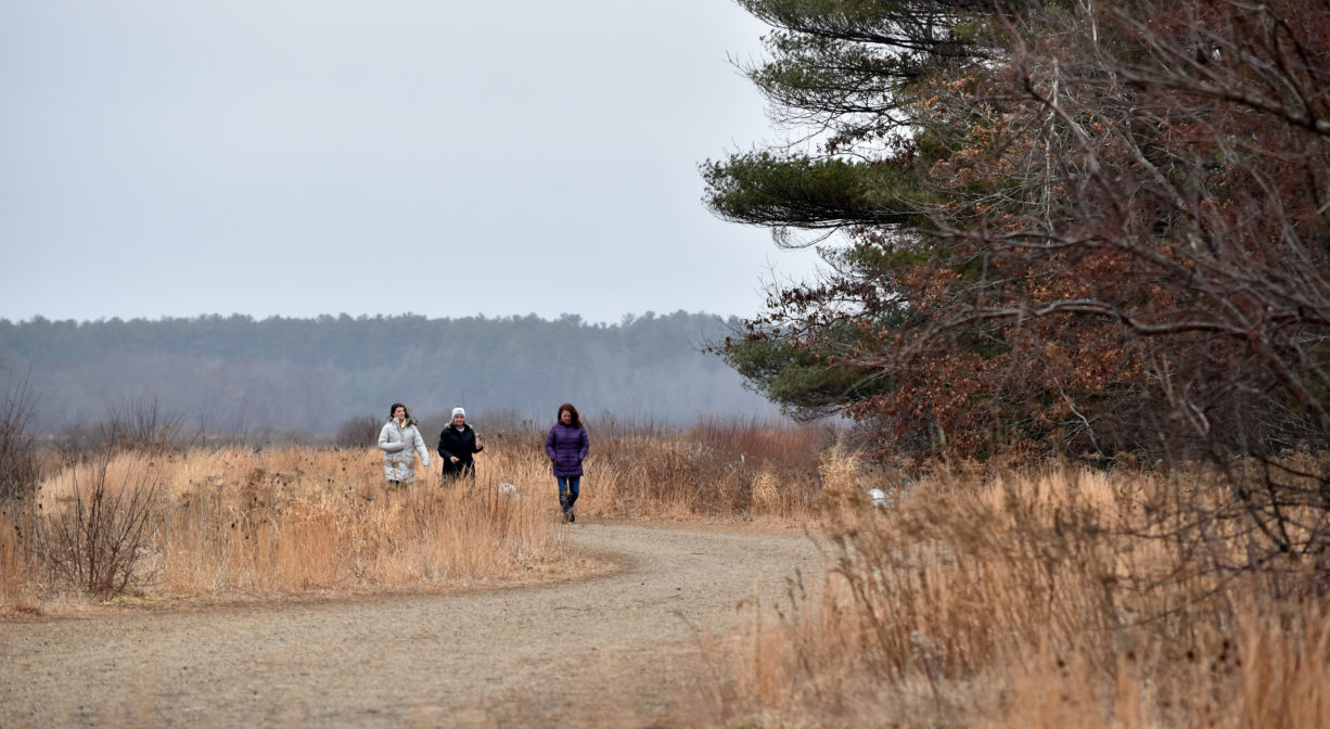 A photograph of pedestrians on a wide tree with grass and trees.
