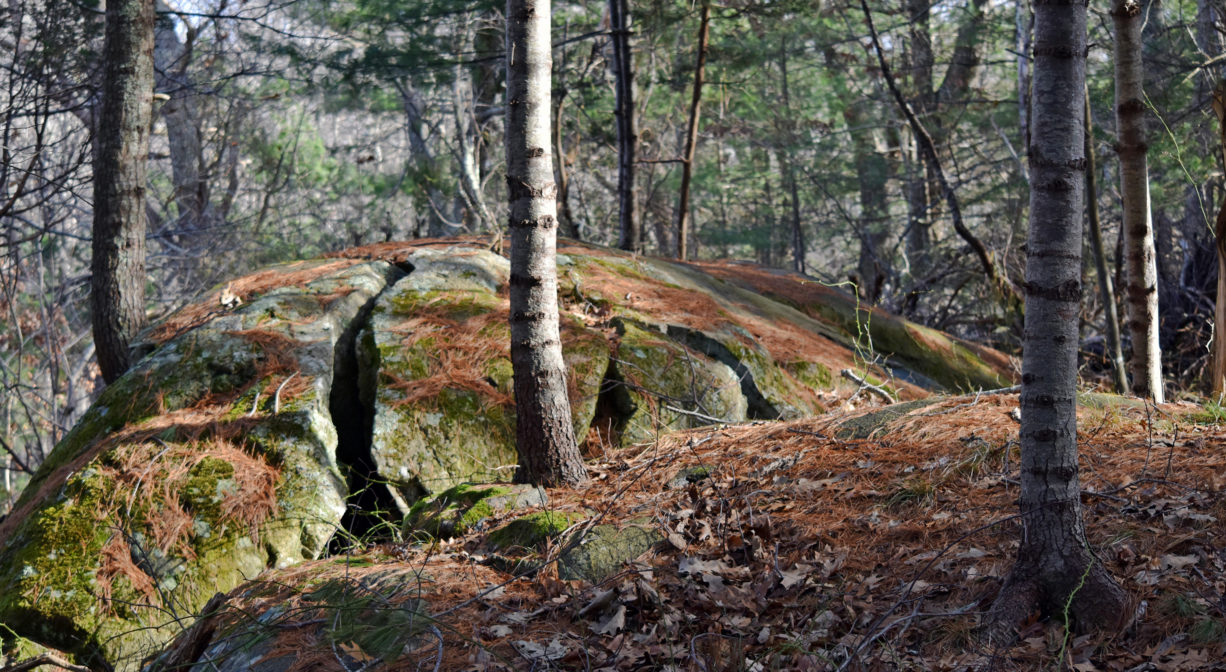 A photograph of a large mossy boulder with some trees.