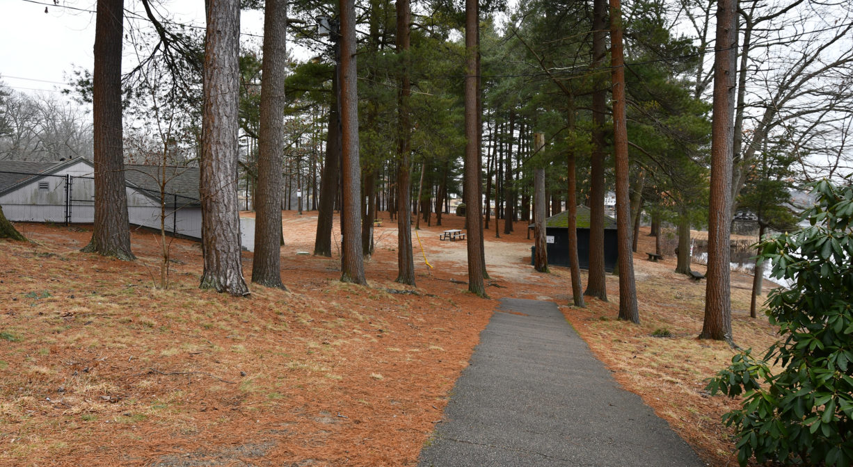A photograph of a paved trail at the edge of a park.