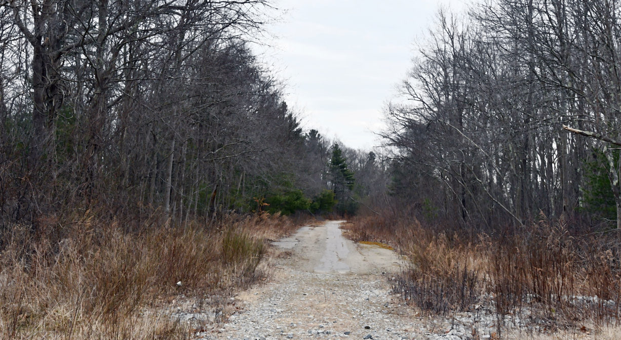 A photograph of a trail through a grassy area bordered by woods.