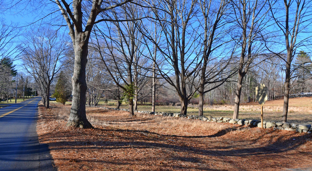 A photograph of a field next to a roadway, with a stone wall and a row of trees.