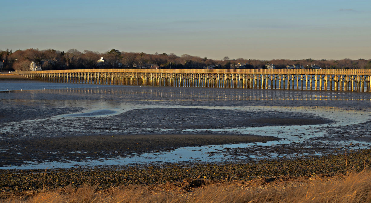 A photograph of a bay at low tide, with grasses in the foreground and a large wooden bridge in the background.