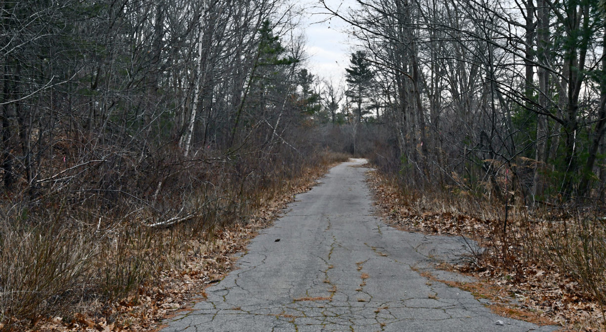 A photograph of a paved trail through a light woodland.