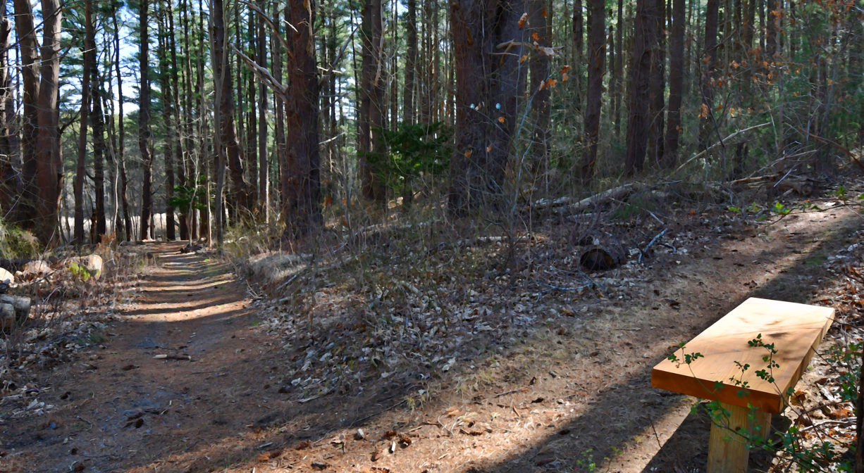 A photograph of a trailside bench on a wooded hill.