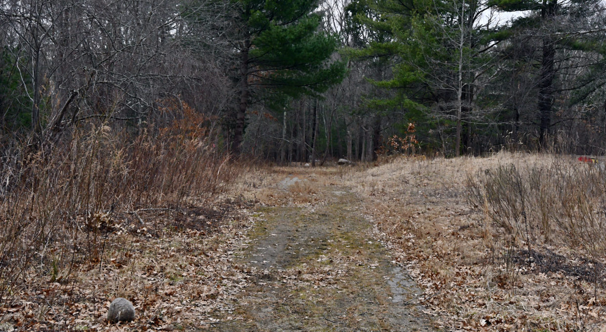 A photograph of a partially paved trail with trees and grass.