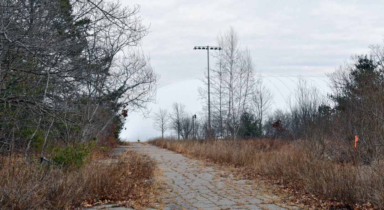 A photograph of a partially paved trail with trees and grass.