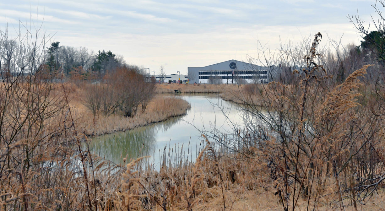 A photograph of a small pond surrounded by wetlands and trees, with a large building in the distance.