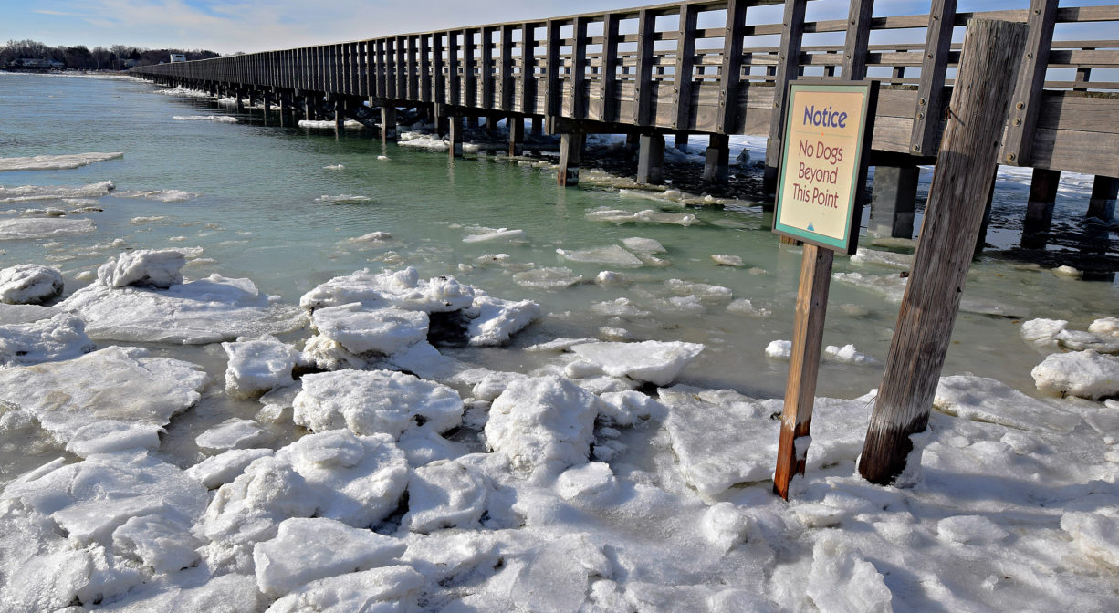 A photograph of a bay in wintertime, with ice in the foreground and a wooden bridge in the background.