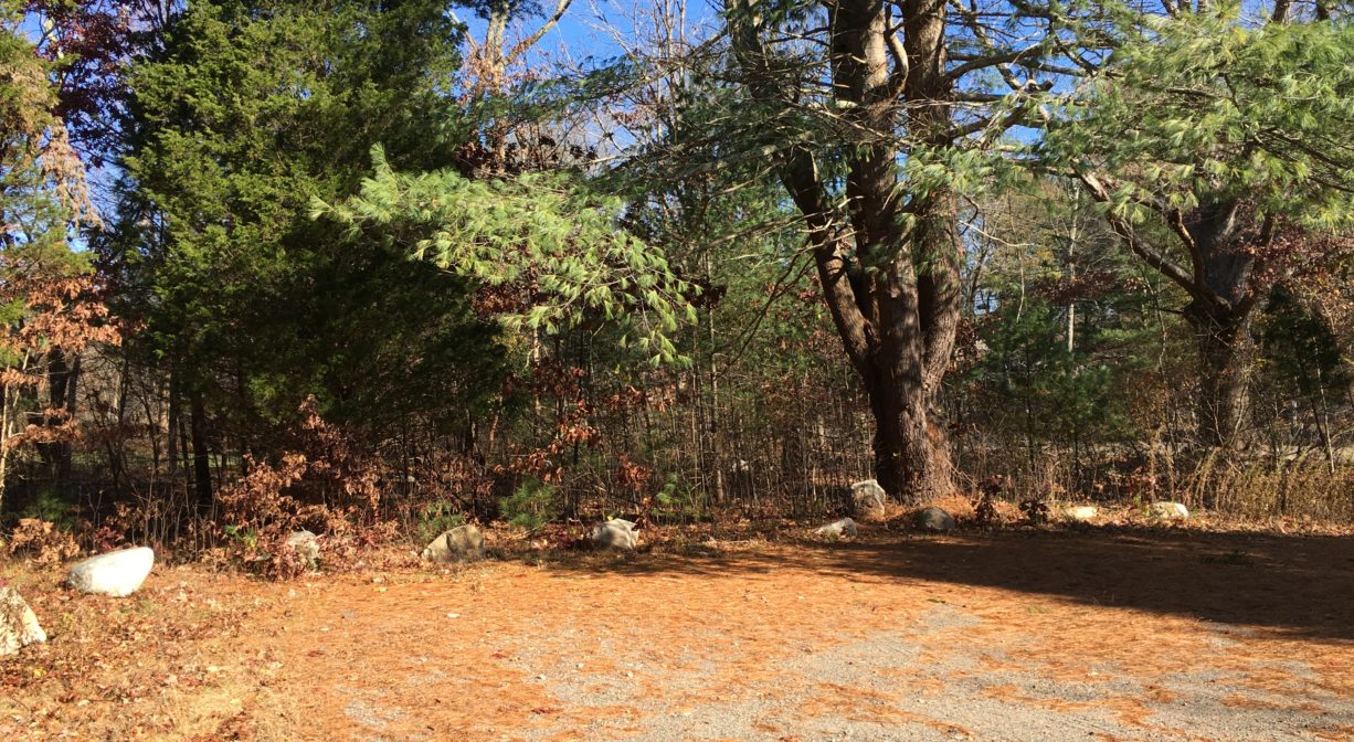 A photograph of an unpaved parking area.