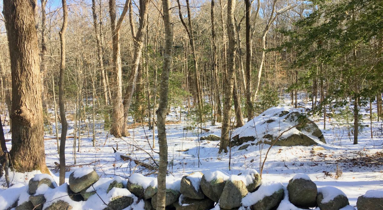 A snowy scene in a forest with a stone wall and a large boulder, plus some trees.