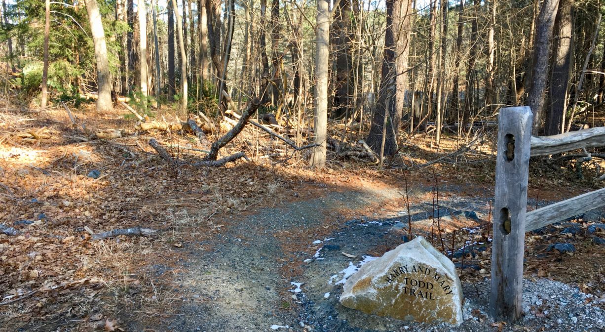 A photograph of a trail leading from a parking area into a woodland.