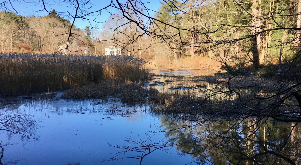 A photograph of a river and a salt marsh.