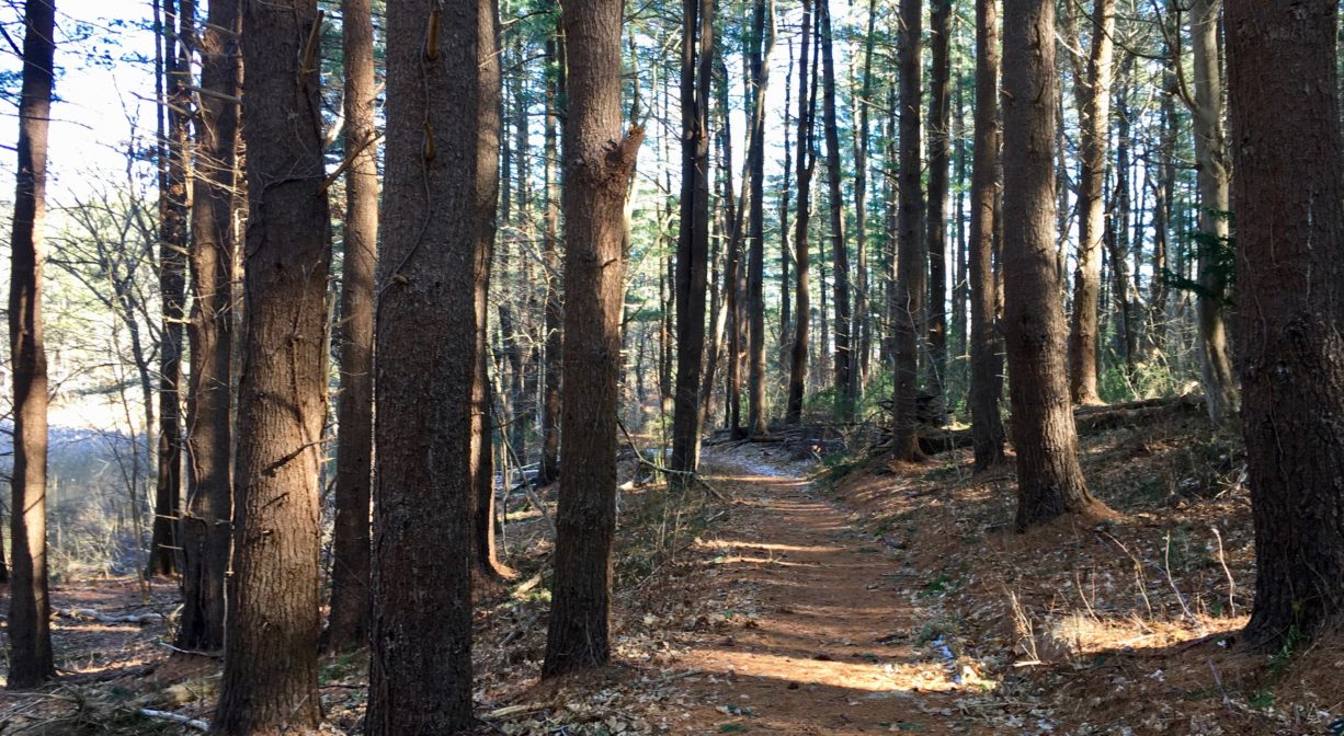 A photograph of a trail through the woods overlooking a river.