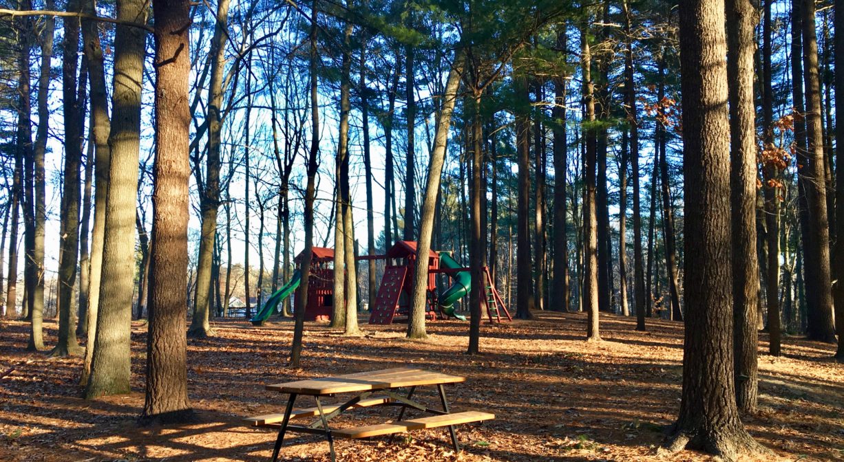 A photograph of a picnic table and a playground in a wooded setting.